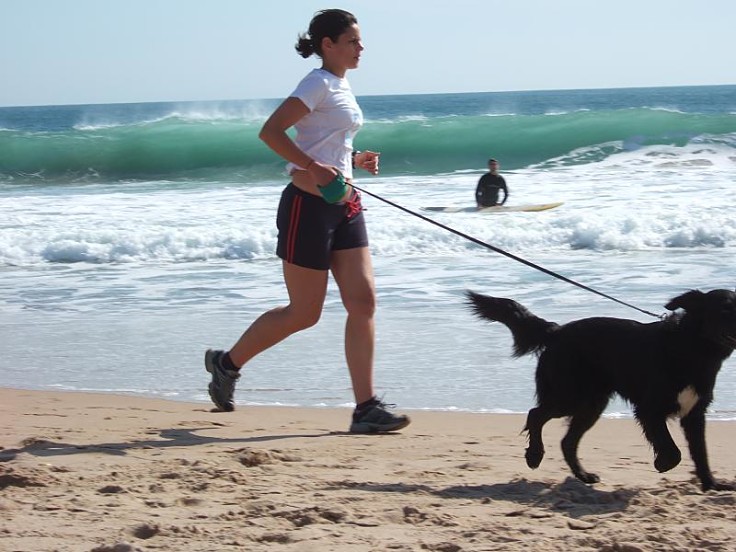 Jogging on a beach is wonderful for both dog and runner, especially if the dog can run free