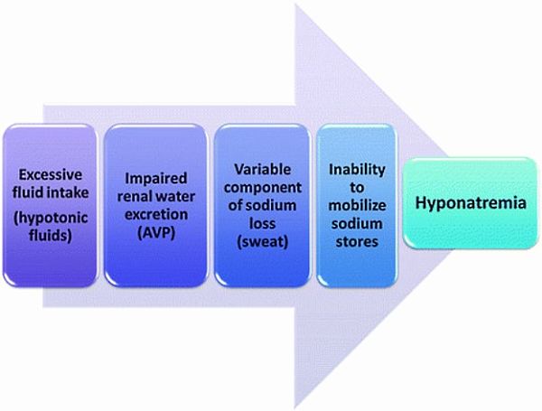 How Exercise-Associated Hyponatremia (EAH) develops during exercise