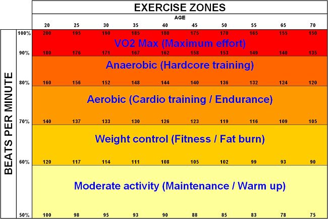 Exercise work zones - red zone (VO2Max), anaerobic zone (brown), aerobic zone (red), weight control (orange)) and warming up (yellow)