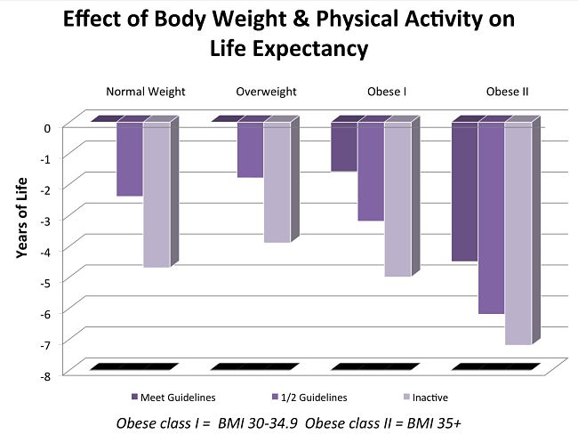 Effect of Body Weight and Physical Activity on Life Expectancy