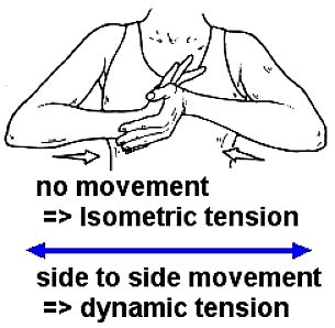 What are isometric exercises